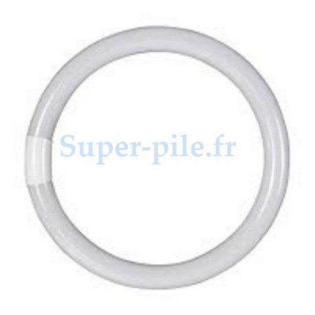 Tube circulaire T9 G10q 22W